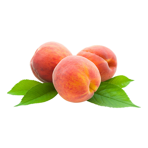 Fruits